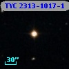 TYC 2313-1017-1