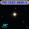 TYC 2313-1019-1