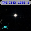 TYC 2313-1065-1