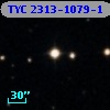TYC 2313-1079-1