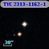 TYC 2313-1162-1