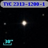 TYC 2313-1200-1