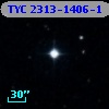 TYC 2313-1406-1