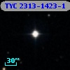 TYC 2313-1423-1