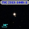 TYC 2313-1449-1