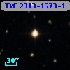 TYC 2313-1573-1