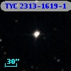 TYC 2313-1619-1