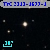 TYC 2313-1677-1