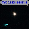 TYC 2313-1685-1