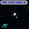 TYC 2317-673-1