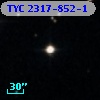 TYC 2317-852-1