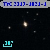TYC 2317-1021-1
