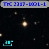 TYC 2317-1031-1