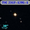 TYC 2317-1295-1