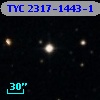 TYC 2317-1443-1