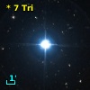 *   7 Tri