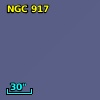 NGC   917