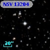 NSV 13204