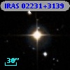IRAS 02231+3139