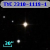 TYC 2310-1118-1