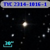 TYC 2314-1016-1