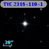 TYC 2318-110-1