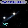 TYC 2323-176-1