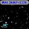 IRAS 20367+5228