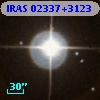 IRAS 02337+3123