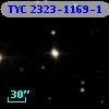 TYC 2323-1169-1