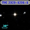TYC 2323-1231-1