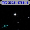 TYC 2323-1736-1