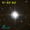 V* AY Ari