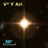 V* Y Ari