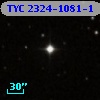 TYC 2324-1081-1