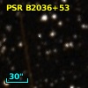 PSR B2036+53