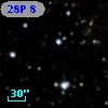 28P   8