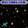IRAS 21004+3146