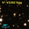 V* V2202 Cyg