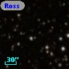 Ross  823