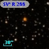 SV* R   288