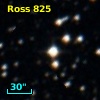 LHS  3637