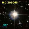 HD 203065