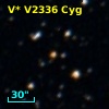 V* V2336 Cyg
