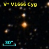 V* V1666 Cyg
