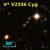 V* V2356 Cyg