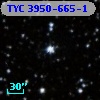 TYC 3950-665-1