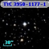 TYC 3950-1177-1