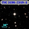 TYC 3198-2319-1