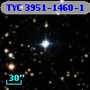 TYC 3951-1460-1